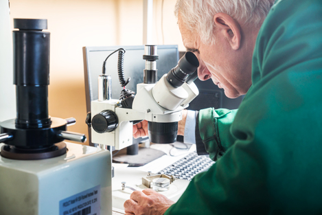 приводна зірочка ціна